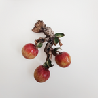 Applique in ceramica con frutta su tronco